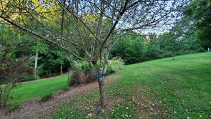 Signs pointing to the creek