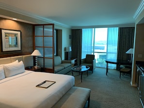 Spacious Suite