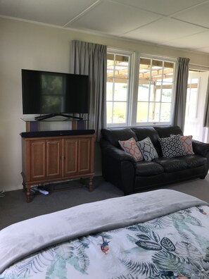 TV with Wifi and Netflix plus Freeview