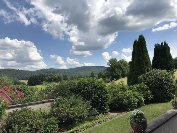 von der Terrasse...die Ausblick die Katzenbuckel und das Odenwald
