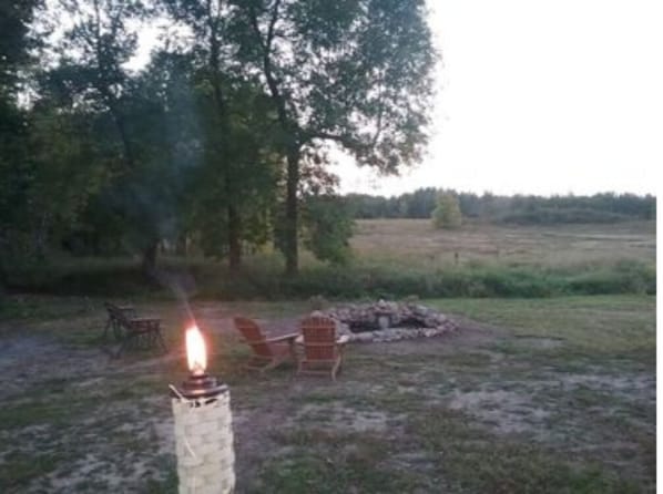 The view