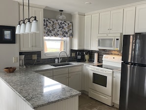 Newly renovated luxury kitchen