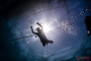 Underwater view while scuba diving at Arkipelago Divers & Beach Resort
