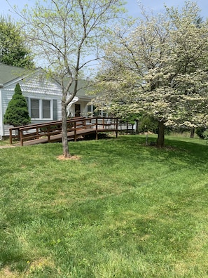Dogwood tree blooming front yard in spring