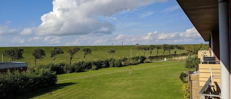 Blick auf den Deich, direkt dahinter ist die Nordsee