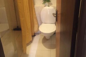 Attach Toilet with Shower Area