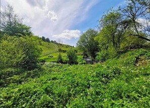 Terrain de l’hébergement 