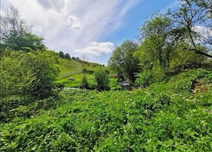 Overnatningsstedets område