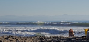 Wild winter ocean