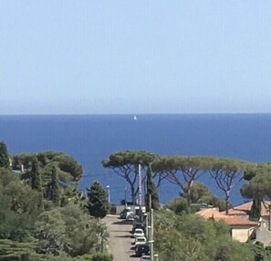 Vue sur la plage ou l’océan