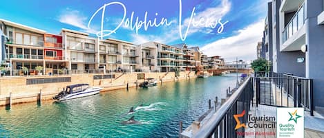 Watch dolphins from your balcony.