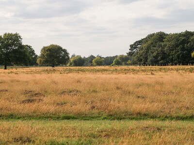 River View – Kingston, KINGSTON UPON THAMES