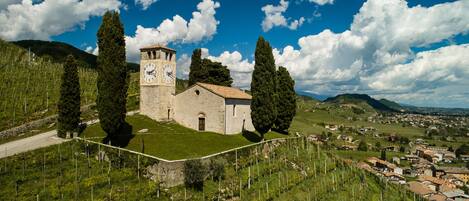 Parco della struttura