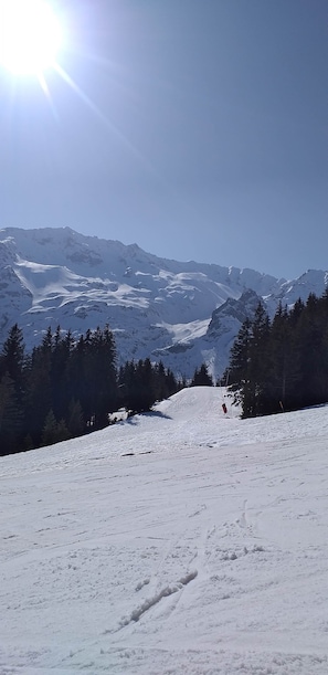 Snow and ski sports