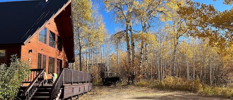 Spacious and private 4-bedroom cabin surrounded by aspen trees and solitude.
