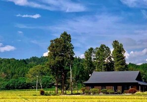 [Building appearance] A detached house in a rice field