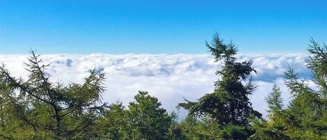 If you are lucky, you can meet such a sea of clouds.