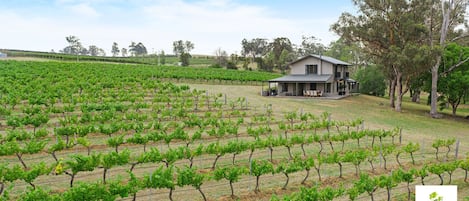 Take in the breathtaking views of the vines from the luxury of gorgeous cottage