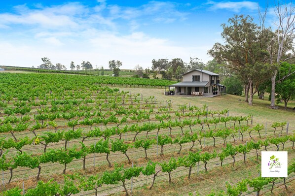 Take in the breathtaking views of the vines from the luxury of gorgeous cottage