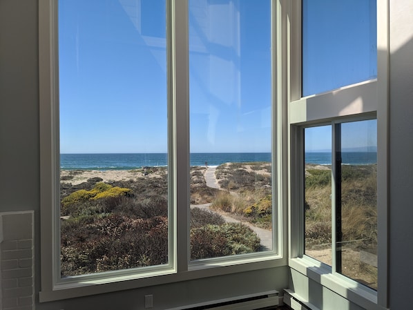 That view!