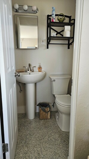 Master half bath