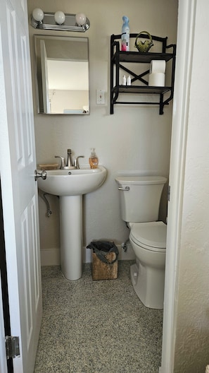 Master half bath