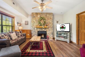 Living Room - Gas Fireplace, Cable TV/DVD, Sofa Bed