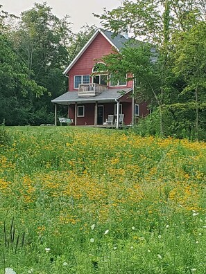 Backyard/porch