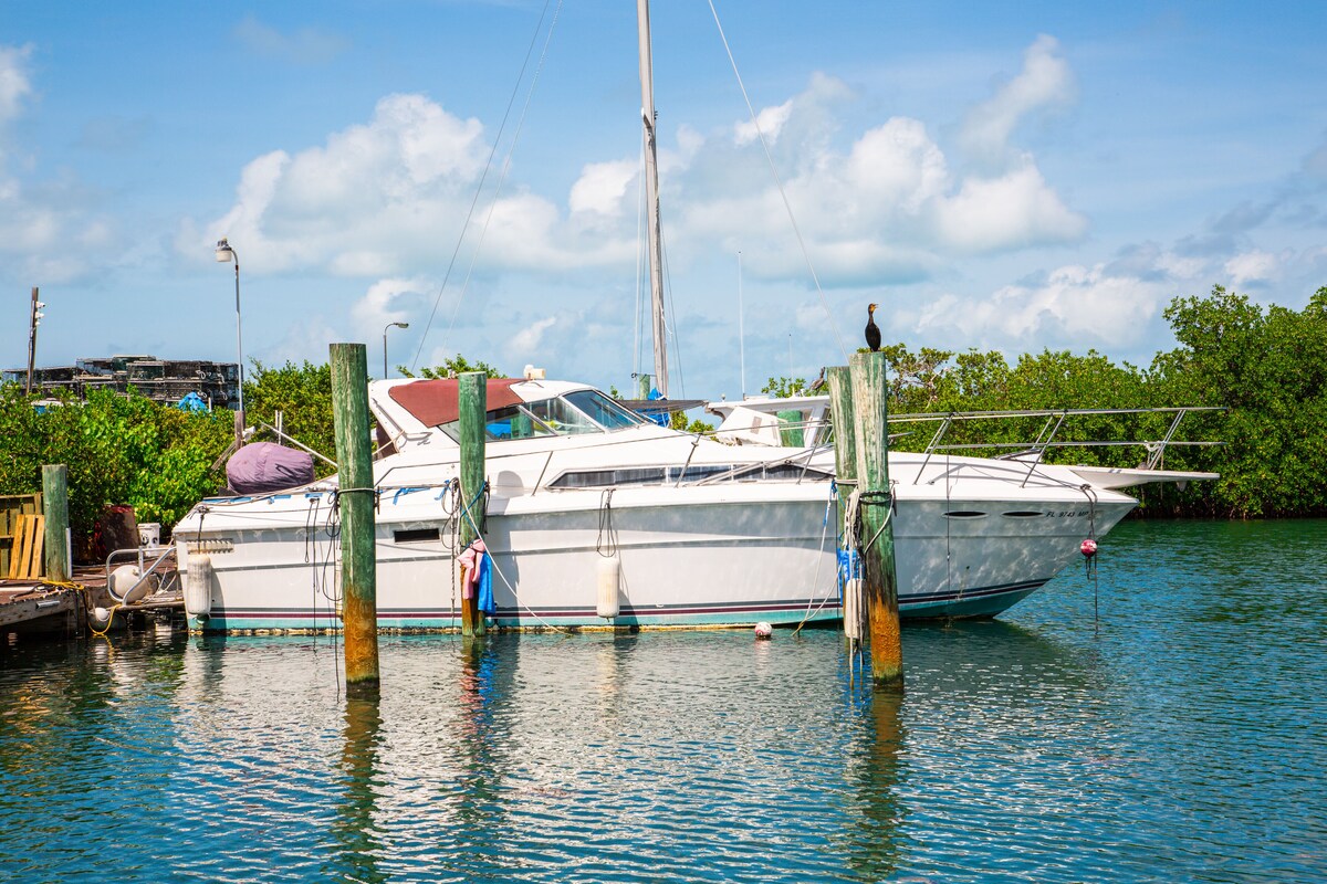Waterfront & snowbird-friendly studio with dock & quick open water access