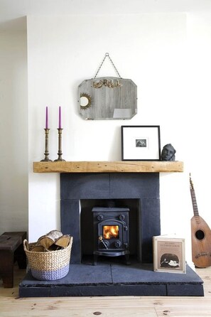 Fireplace with wood burning stove