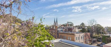 Southern Belle Manor - View from Skyline Apartment