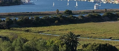 Top deck views of Marina Del Rey