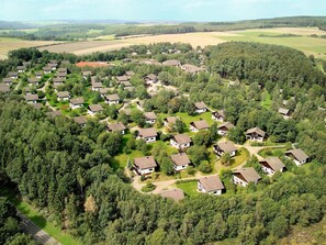 Plante, Propriété, Ciel, Écorégion, La Nature, Paysage Naturel, Arbre, Environnement Naturel, Lot Terre, Végétation