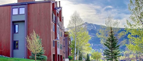 The building