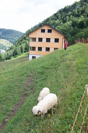 Attività per bambini