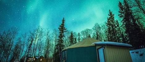 Yurt B, one of our two gorgeous yurts on the property. 