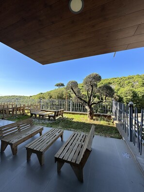 Vista desde la habitación