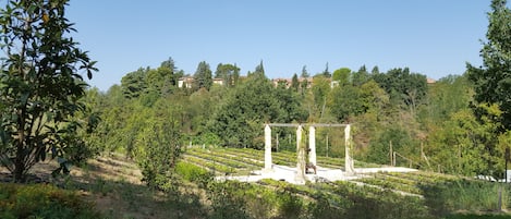 Parco della struttura