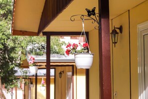 Detalle del exterior