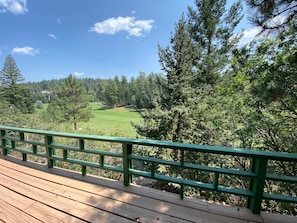 View of mountains off the back deck
