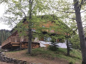 Exteriör