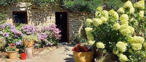 Jardines del alojamiento