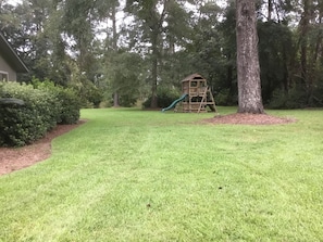 The side yard has lots of room for kids to play.
