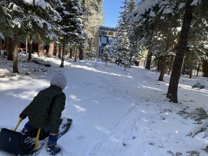 Our backyard! 