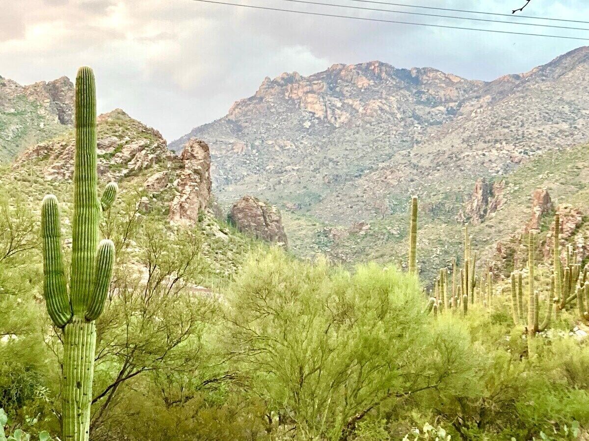 Saguaro Escape | Pool/Tennis/Hiking/Patio