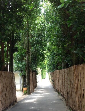 Located in a traditional Okinawan village surrounded by Fukugi trees