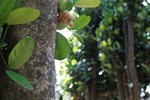 You can meet the rustic scenery of Okinawa