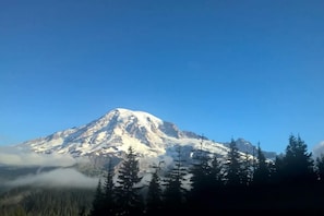 The only year around entrance to Mt. Rainier is located 5 miles away!