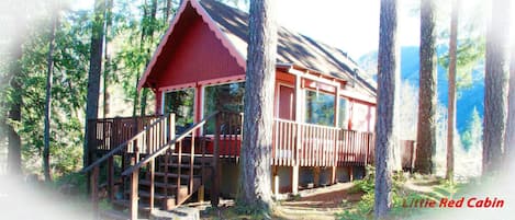 This cozy Little Red Cabin is nestled in the foothills of Mt. Rainier.  The perfect location for your Mountain Getaway!