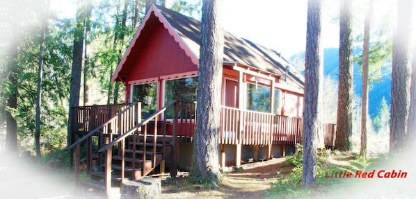 This cozy Little Red Cabin is nestled in the foothills of Mt. Rainier.  The perfect location for your Mountain Getaway!